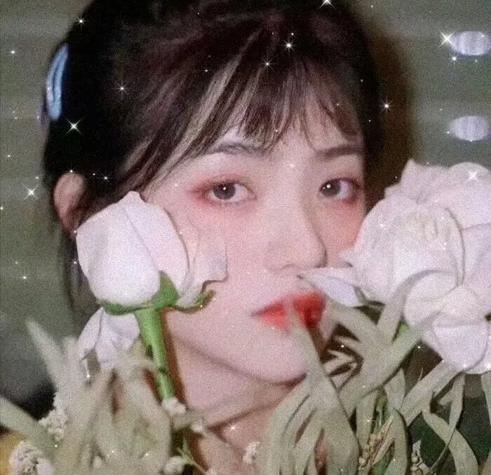 明星大侦探之剧情演绎篇